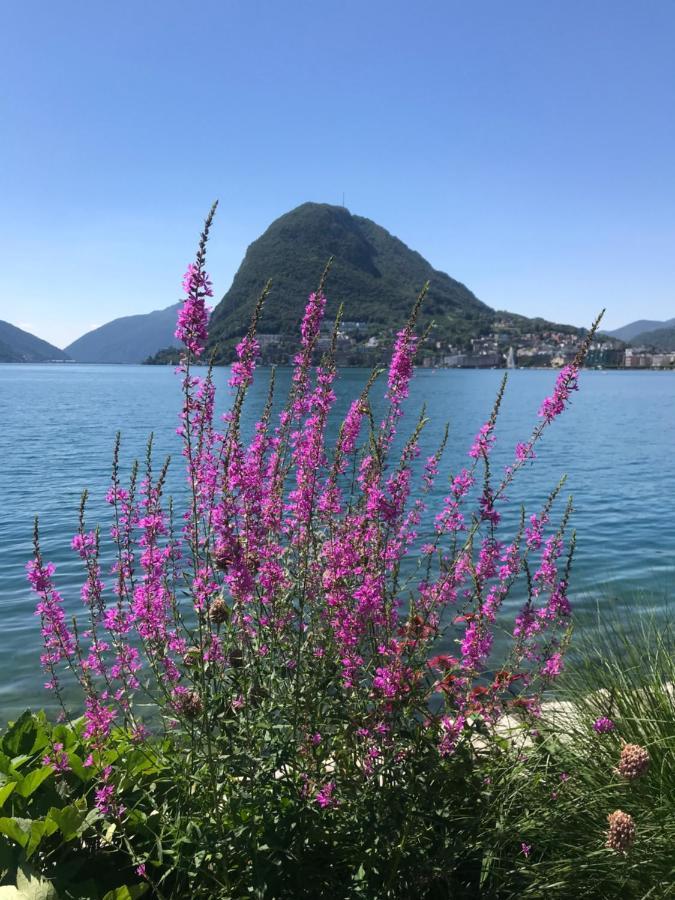 Apartment Connie S Free Parking Lugano